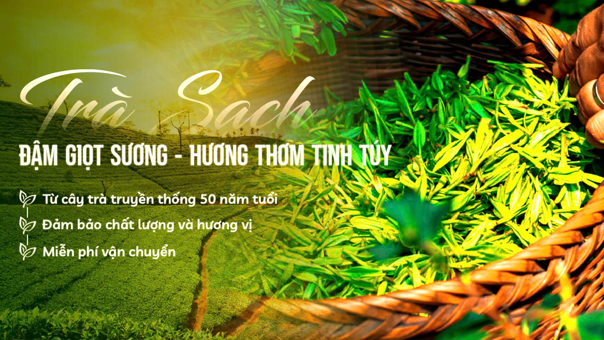 Banner Sương Trà