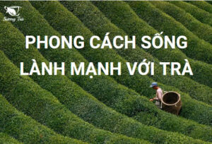 phong cách sống lành mạnh với trà