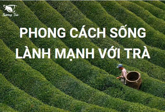 phong cách sống lành mạnh với trà